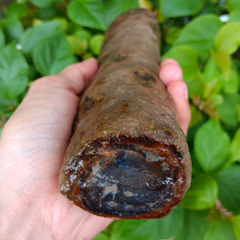 โบหินอาเกต sempur bule banten ตามภาพถ่าย 15-20 cm -2+