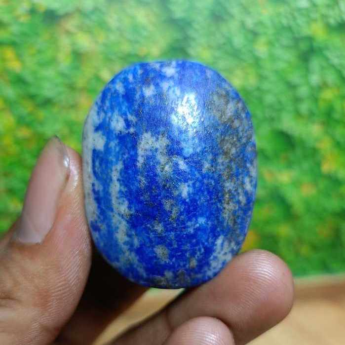 Lapis Lazuli ปาล์มธรรมชาติ (5)