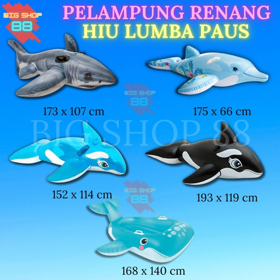WHALE SWIMMING BUOY WHALE SWIMMING BAN SHARK DOLPHIN INTEX WHALE SHARK DOLPHIN RIDE บน