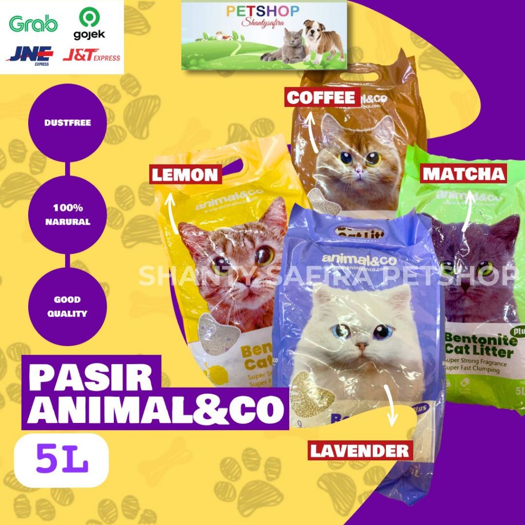 BENTONITE CAT SAND 5 LITERS ANIMAL & CO SCENTED CLUMB SAND IMPORTED CAT SAND ANIMAL AND CO MONY Flav