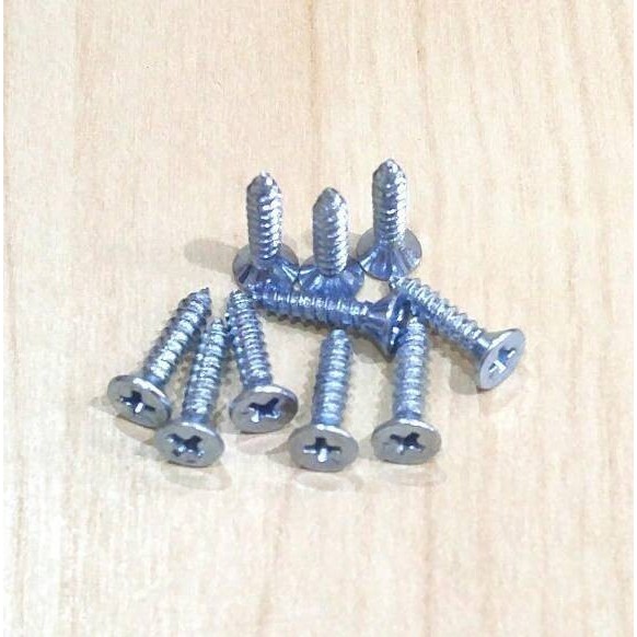 MOON LION Taping Screw 6x1" FH Wood Screw 6 x 2.5 ซม. (+) 10 ชิ้น