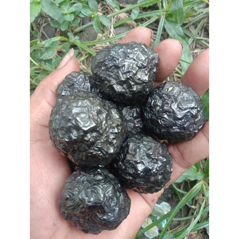 Bbs selonah แม่เหล็กกันทิลธัญพืชธรรมชาติ