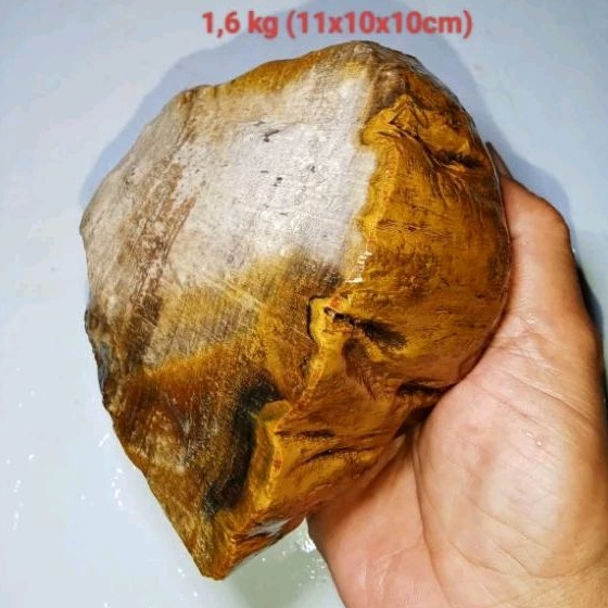 เนื้อฟอสซิลไผ่อาเกต (5352)