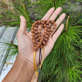 สร้อยข้อมือ Zero mukhi Rudraksha