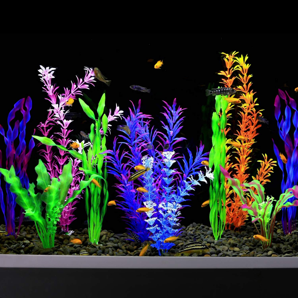 พืชน้ํา aquascape, พืชพลาสติก aquascape, พืชน้ําพลาสติก, พิพิธภัณฑ์สัตว์น้ํายาว, พืชพลาสติกตกแต่งตู้