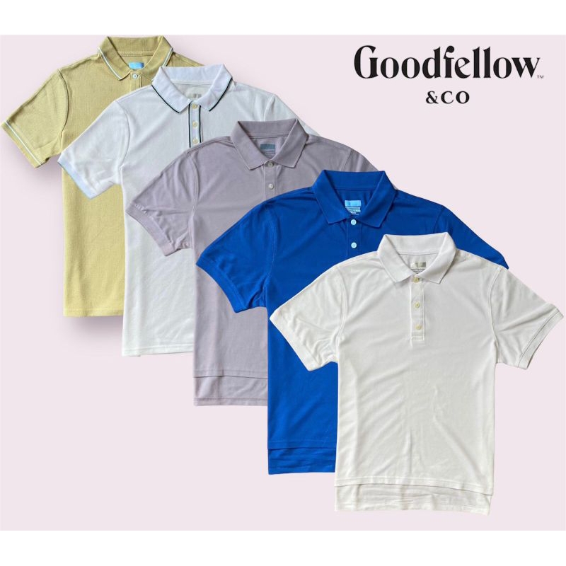 เสื้อคอปกสีพื้น | เสื้อโปโล By GF & CO v2
