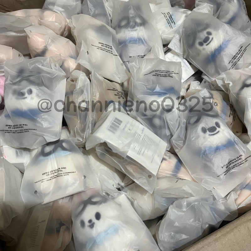 Stray Kids Skzoo Mini Plush นักบิน 10 ซม.