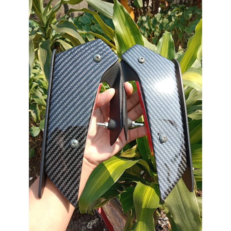 ปีกข้าง.r15.v3. wtp คาร์บอน.club