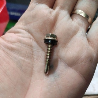 น็อตสังกะสี น็อตหลังคา/น็อตสแปนเด็กซ์ น๊อตหลังคา ขนาด 30ml (3cm) ราคา 1 ชิ้น (SALT BOLTS)