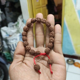 Rudraksha mukhi สร้อยข้อมือ 3 ธรรมชาติ แบบเต็ม mukhi 3