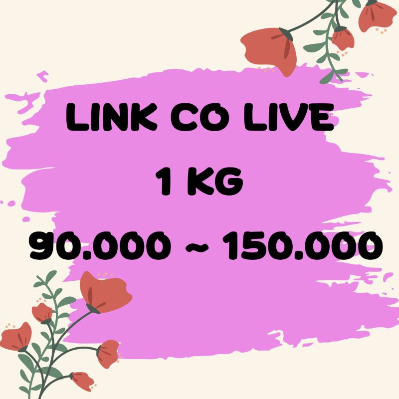 ไลฟ์ สเปเชียล CO Link 100s 1กก