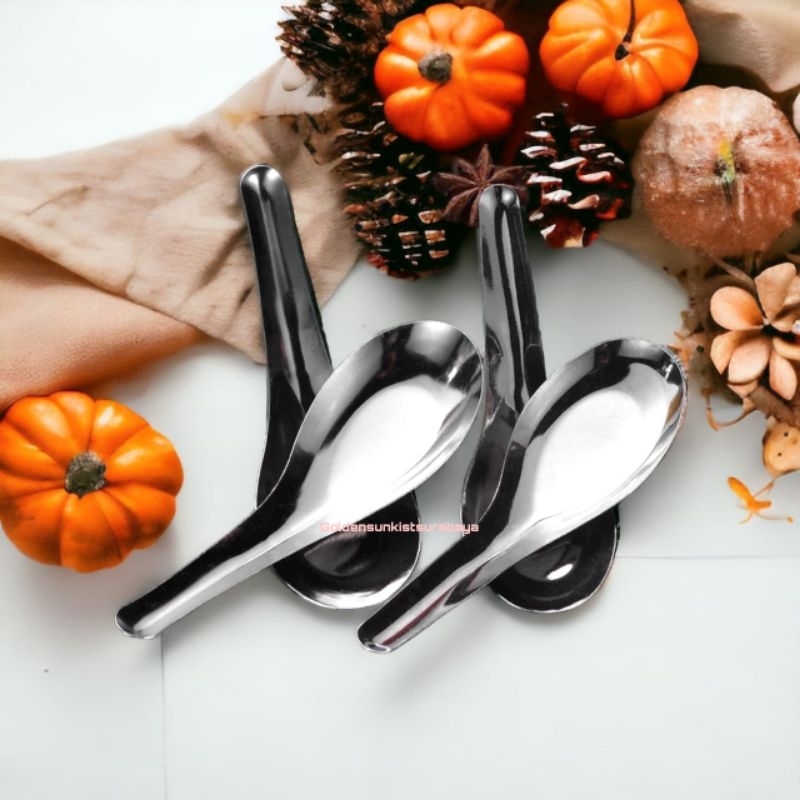 DUCK SPOON 9GR 333 Stainless (นากาโกะ)