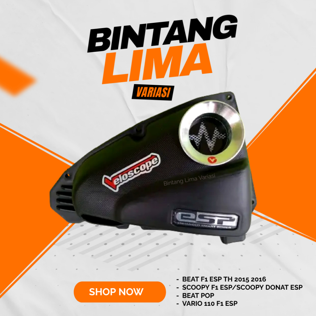 VELOSCOPE ORIGINAL BEAT ESP SCOOPY ESP & VARIO 110 ESP/VELCITY ฝาครอบกรอง DETAK รุ่น