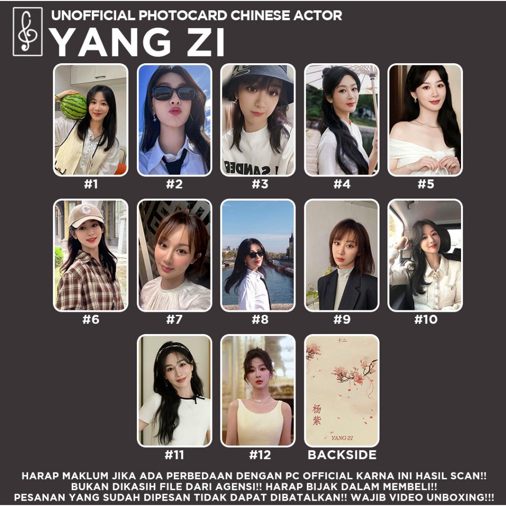 [นักแสดงภาษาจีน] Photcard YANG ZI FANMADE