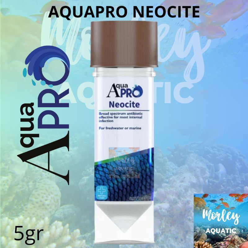 AQUAPRO NEOCITE 5GR*