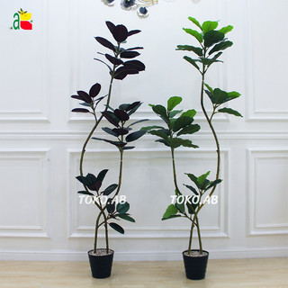 1 PAKET TANAMAN KETAPANG ARTIFICIAL AESTHETIC POHON KARET KEBO BUATAN DAUN TROPIS BESAR FICUS ELASTIS 170CM DEKORASI HIASAN POJOK SUDUT RUANG TAMU RUMAH KANTOR CAFFE RB6115 DAUN KETAPANG PLASTIK POHON ARTIFICIAL VIRAL