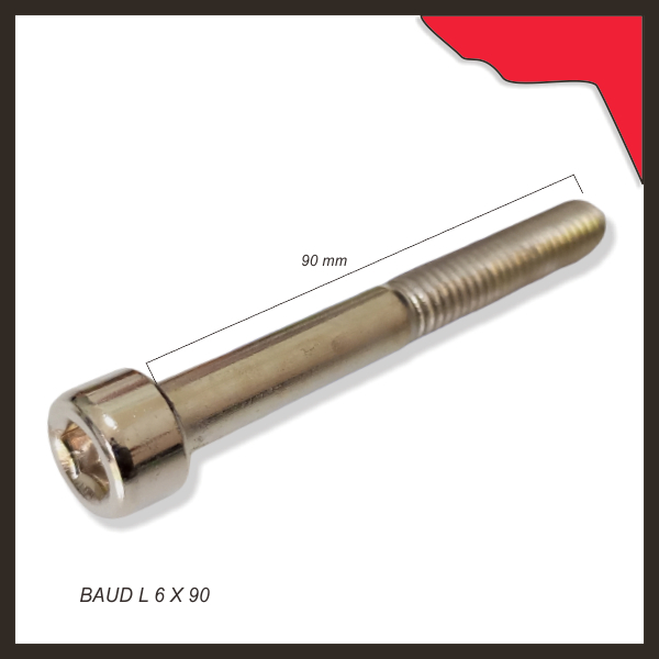Baud L 6 X 90*******