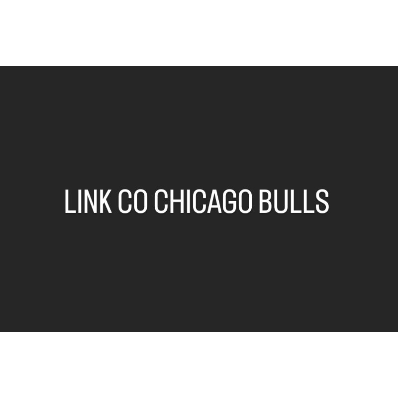 LINK CO CHICAGO BULLS