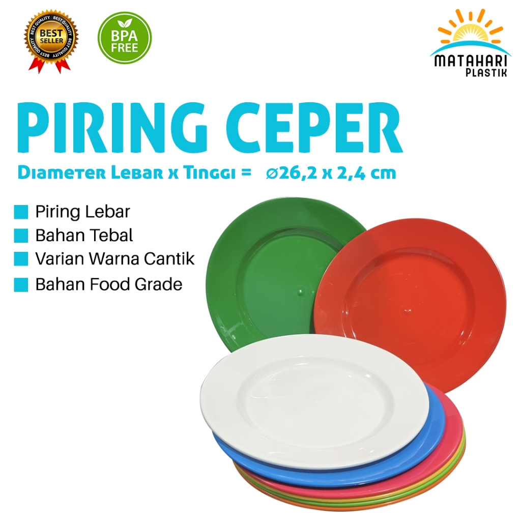 FLAT PLATES/PLASTIC DINNER PLATES/FLAT PLATES 10