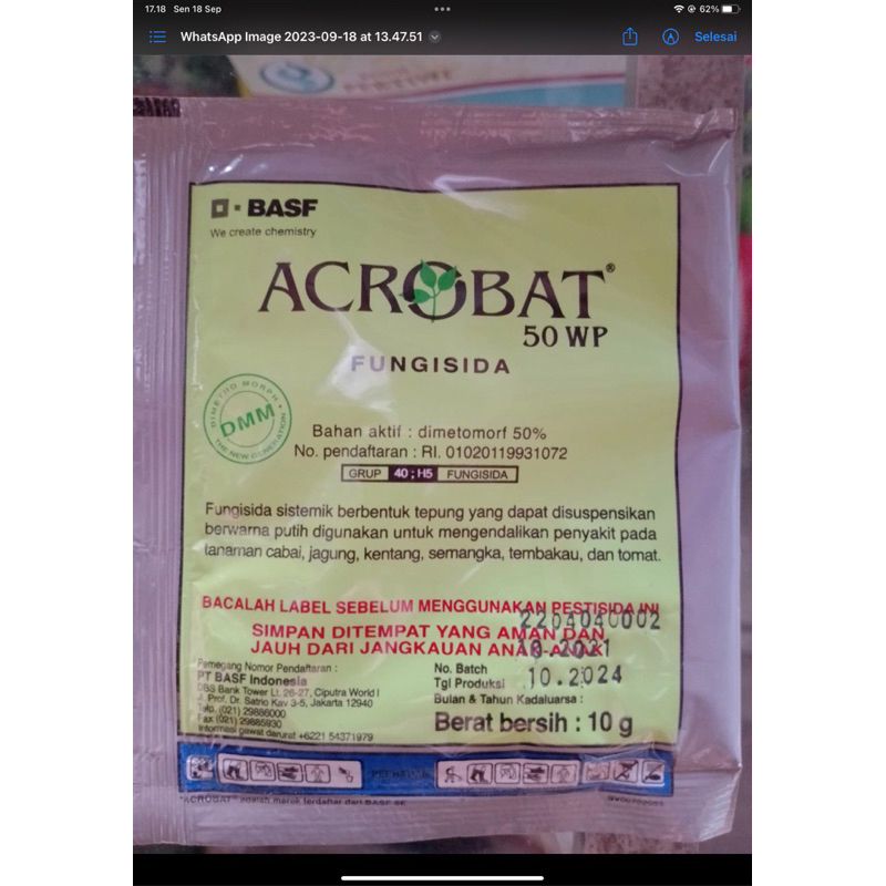 Acrobat 50WP********