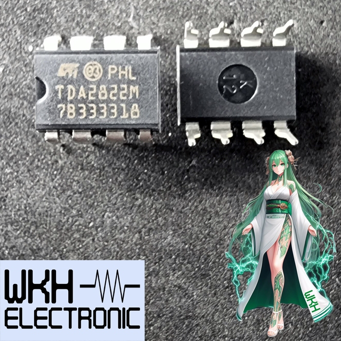 IC TDA2822 DIP8 TDA2822M TDA 2822 สเตอริโอเครื่องขยายเสียงปฏิบัติการ