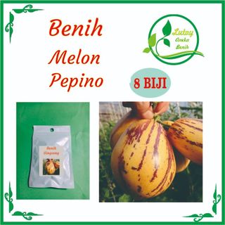 BENIH MELON PEPINO ISI 8 BIJI