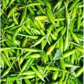 cabe rawit cabai hijau cabai segar  1 kg fresh