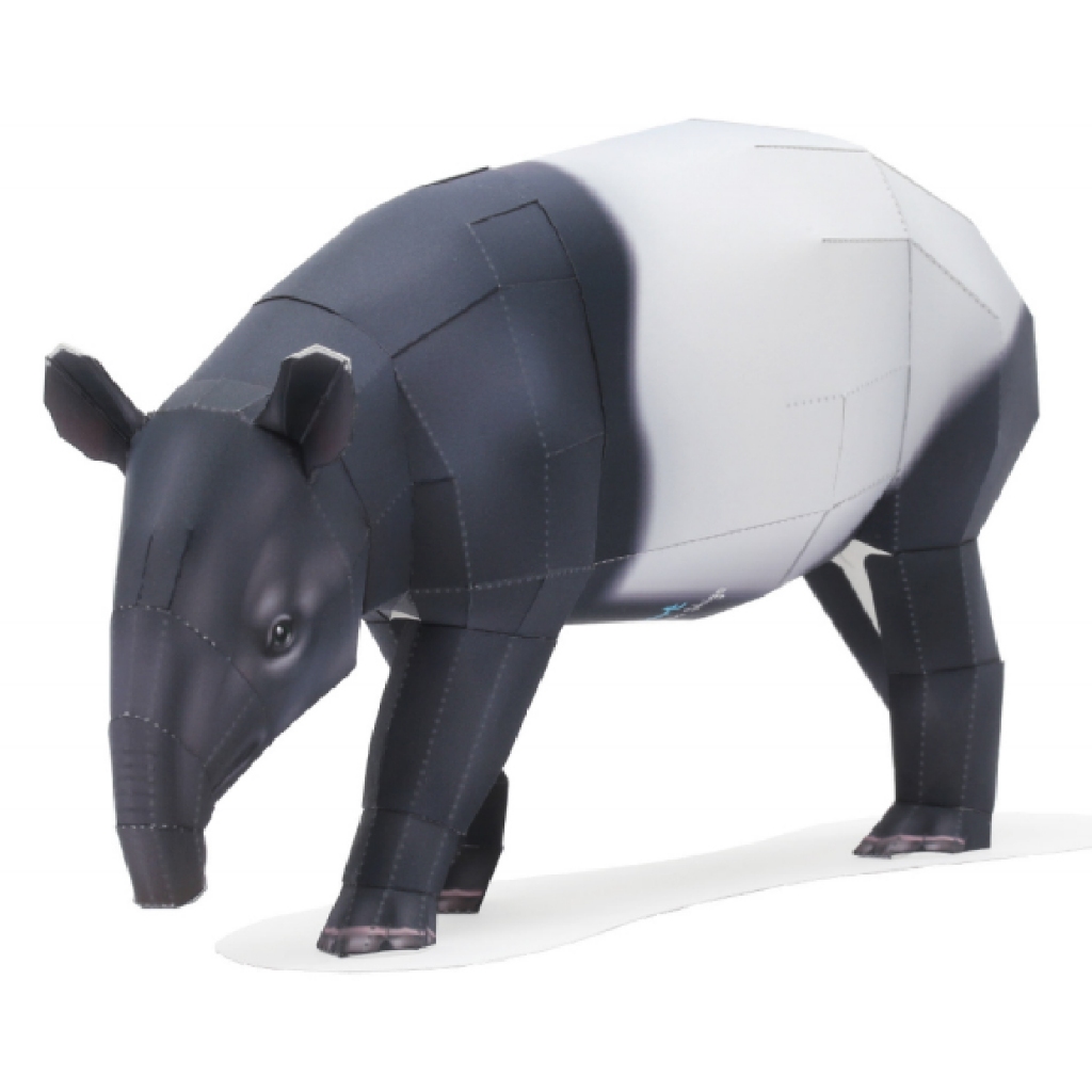 Malayan Tapir (ชาย เดิน) งานฝีมือกระดาษ