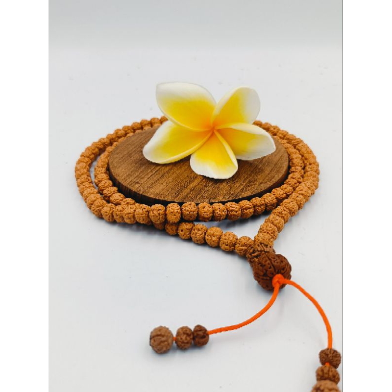 Japamala Rudraksha/ Mala Genitri 108 Premium 8mm Necklace