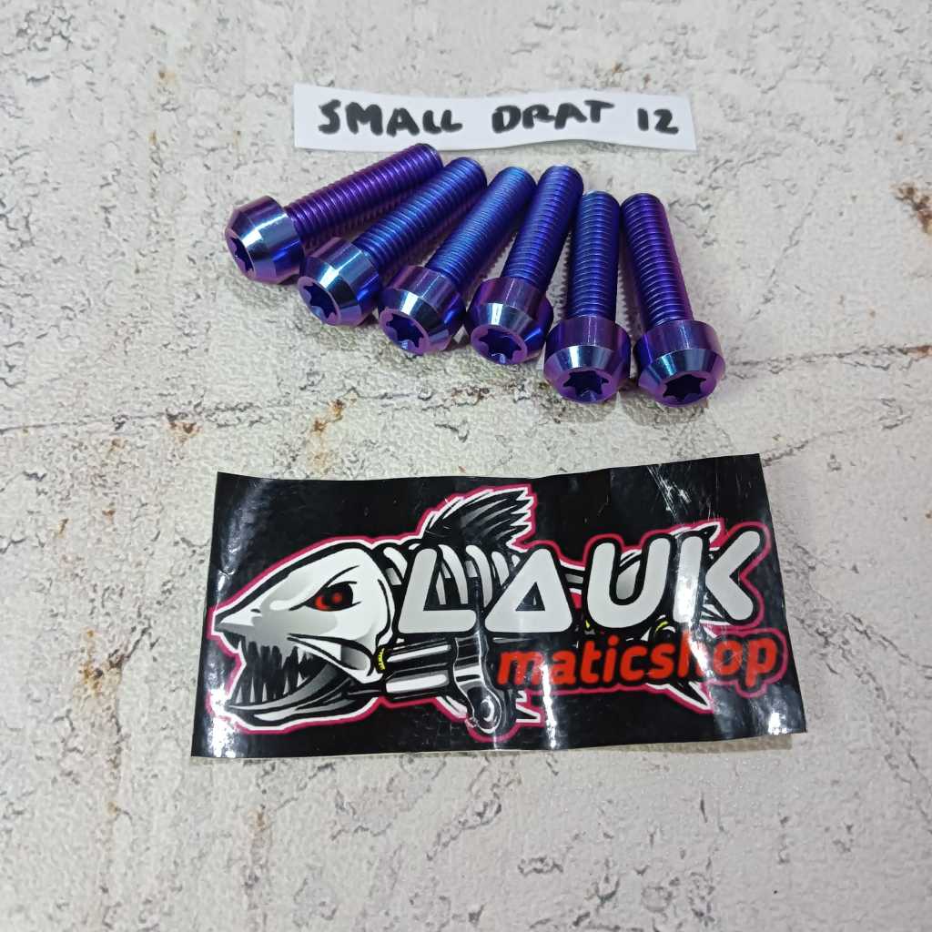 Titanium Bolt Small Head Thread 12 หรือ M8 Original viet / Titanium Bolt Small Thread 12 M8