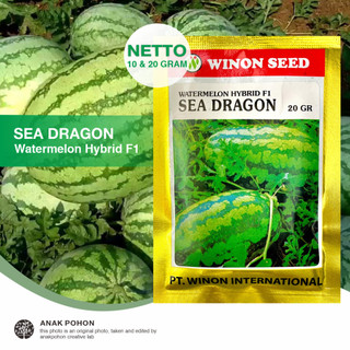 (1 PACK) Semangka Merah Lonjong SEA DRAGON Watermelon Hibrida F1 - Chung Shin Seed Winon - 10 & 20 GRAM
