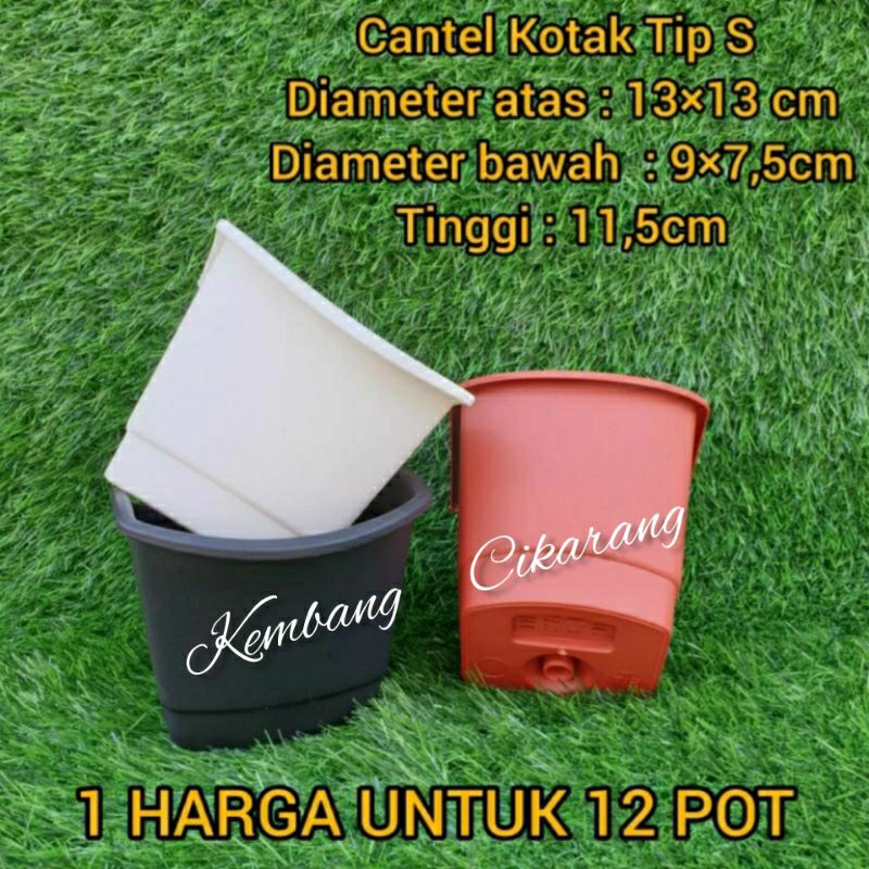 (12ชิ้น) DOZENS OF TIP S BOX CANTEL (13): กระถางดอกไม้ ไม้แขวนแรม คล้ายนกกระเรียนเล็ก หม้อสนามแนวตั้