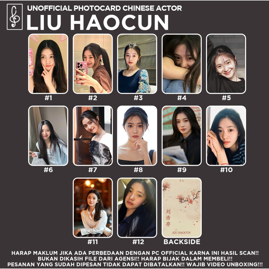 [นักแสดงภาษาจีน] Photocard LIU HAOCUN FANMADE