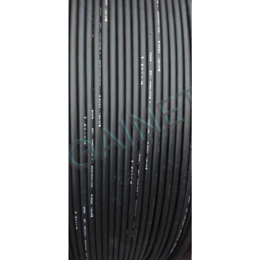 สาย FO 24 core ADDS / SM G652D