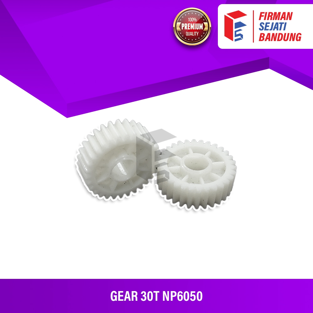 GEAR 30T NP6050 - FS6-0125-000 CT
