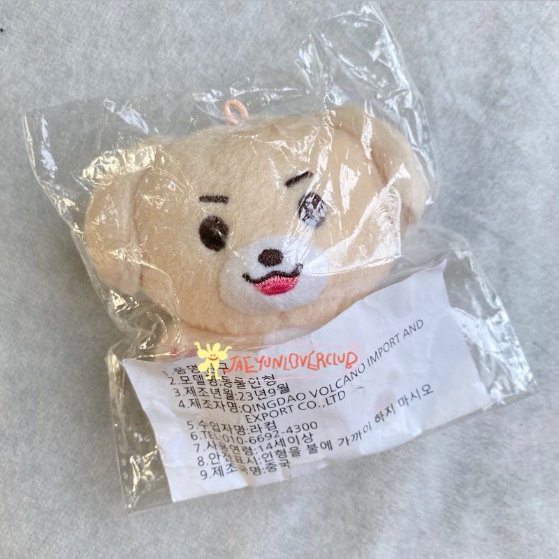 ตุ๊กตา Enhypen jake 10 ซม. โดย jakekkomi