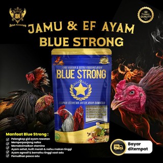 BLUE STRONG Jamu ekstra fooding ayam bangkok aduan agar sehat nafas panjang merah merona tarung ganas agresif