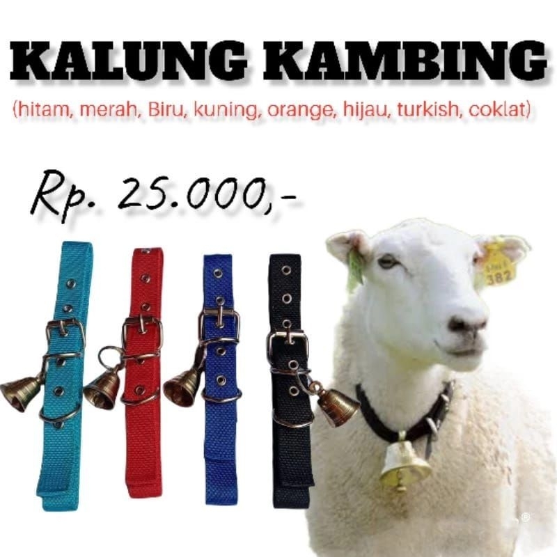 K01 90CM สร้อยคอแพะแกะ Cempe ปลอกคอสุนัข Super Quality