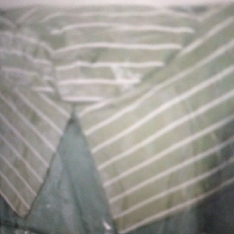 โรชานี ani**********