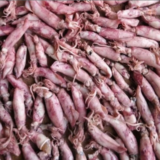 1KG Cumi asin kering murah/ cumi sotong kering