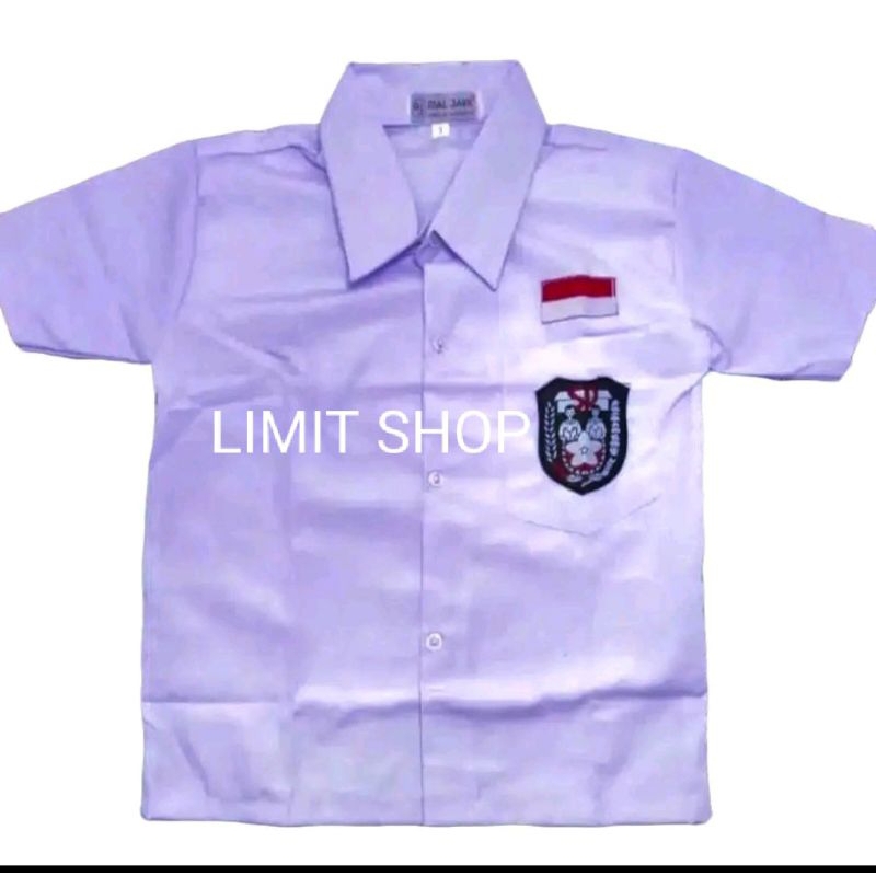 สั้นและเสื้อ SCHOOL ELEMENTARY สําหรับเด็กผู้ชายและเด็กผู้หญิง SCHOOL UNIFORMS