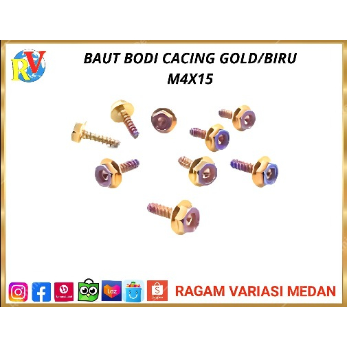 WORM BODY BOLT M 4 X 15 GOLD BLUE