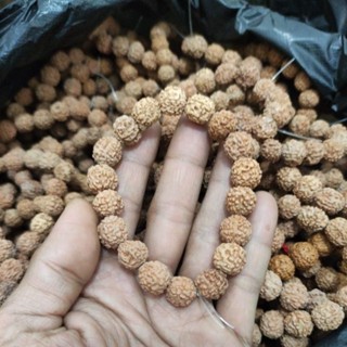 สร้อยข้อมือ rudraksha ธรรมชาติ 11_13 มม.