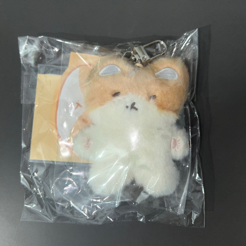 TEOLAEGI KEYRING BY BAEKHYUN EXO พร้อมโฟโต้การ์ด