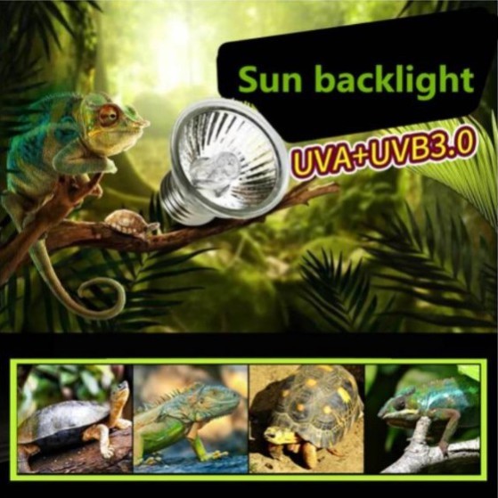 Nomoy โคมไฟ 25 วัตต์ UVA UVB เครื่องทําความร้อน เพื่อสุขภาพ เครื่องอุ่นสัตว์เลื้อยคลาน กรงเต่า เต่า จิ้งจก ตุ๊กแก ไก่ เต่า ซัลคาตะ เต่า นก