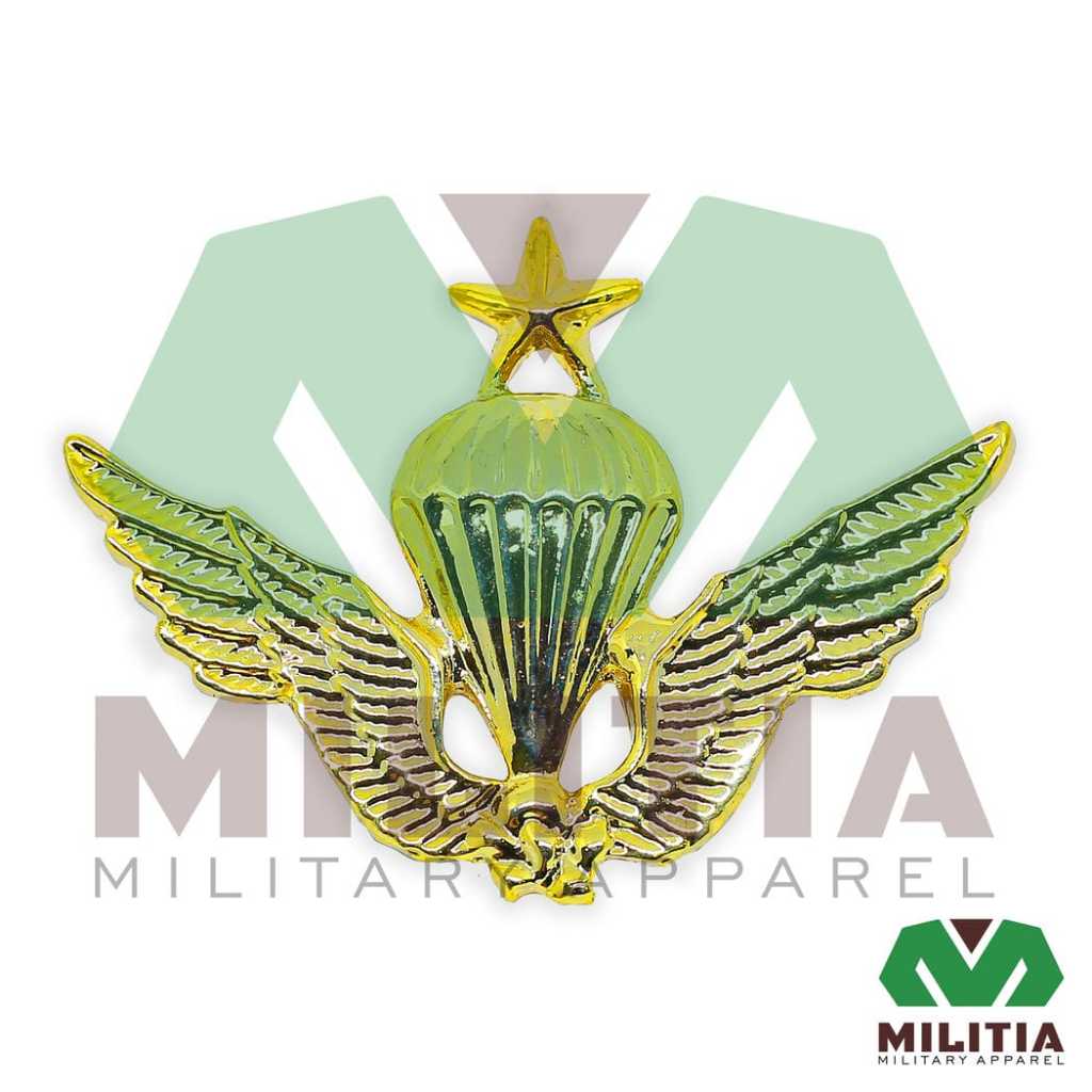 ปีก MC II B PDH*****