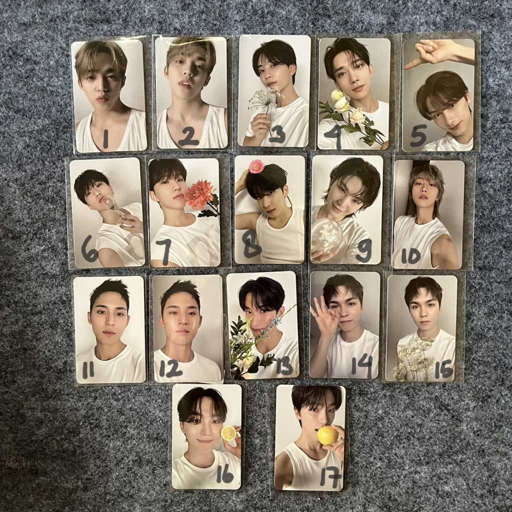 [พร้อมสต็อก] PHOTOCARD DEAR VERSION SEVENTEEN SCOUPS JEONGHAN MINGYU WONWOO