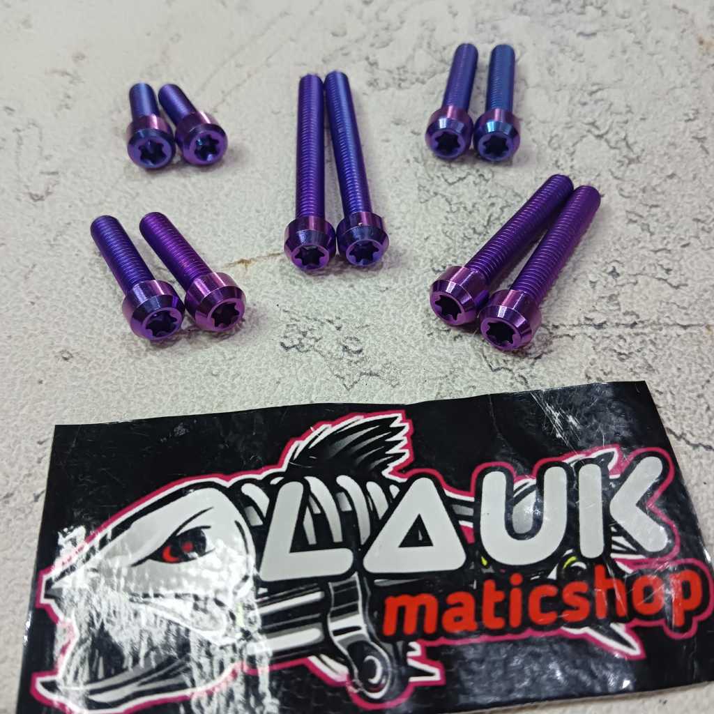 Titanium Bolt Small Head Thread 8 หรือ M5 Original viet / Titanium Bolt Small Thread 8 M5
