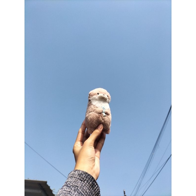 ตุ๊กตา Kawauso no Uso-Yan Otter โดยพวงกุญแจ Amuse Amufun