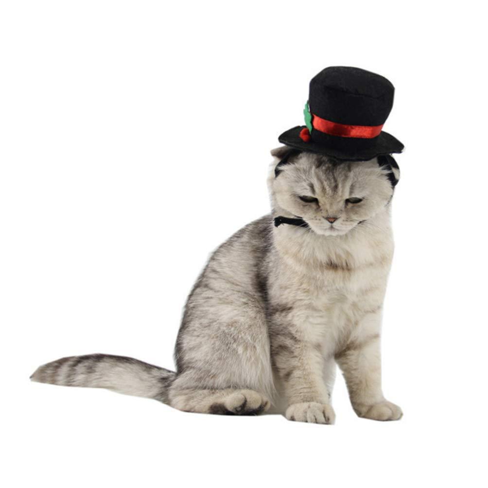 หมวกสุนัข/แมว DP-CL-HAT-07